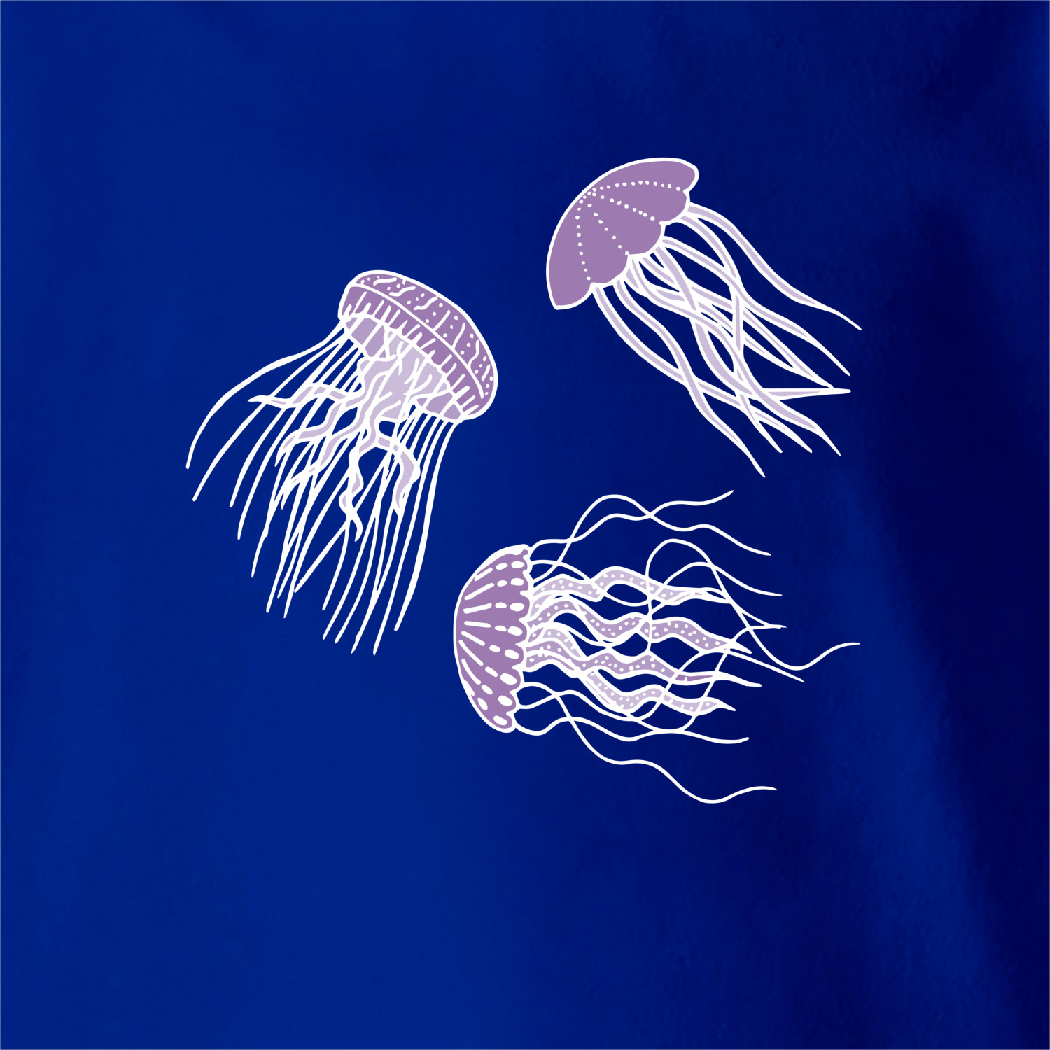 Медуза цена лайф. Фиолетовая медуза. Маленькие медузы. Синяя медуза. Цвета медуз.