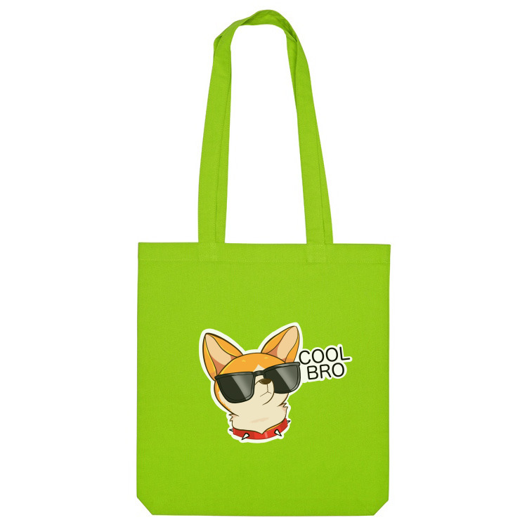 Грин бро мешки. Cool сумка. Сумки cool джибетсы. Cool Bag FF 38(J) BK 6289. Little cool bro.