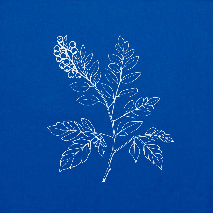 Сумка «Осень Веточка Рябины Минимализм» цвет ярко-синий - дизайнер принта  LesLy